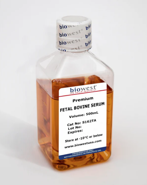 Fetal Bovine Serum - FBS- Biowest USA S1620