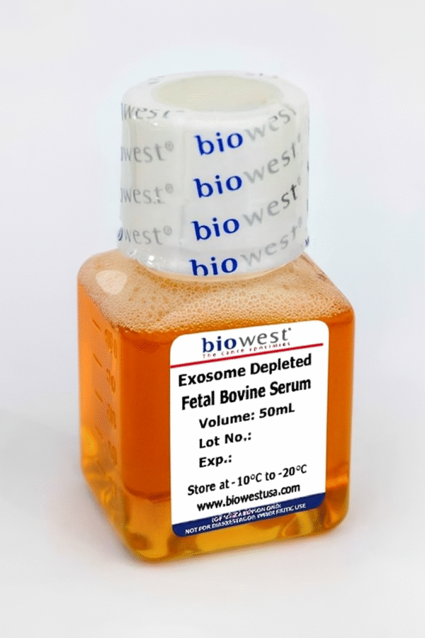 Exosome-Depleted Fetal Bovine Serum
