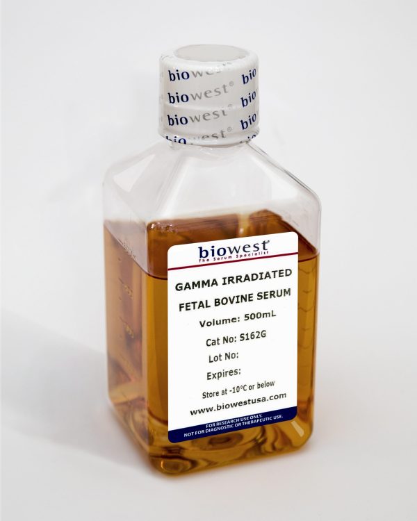 Gamma-Irradiated Fetal Bovine Serum