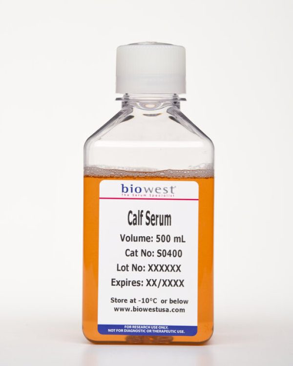 Product image of Calf Serum from Biowest USA. Product code: S0400