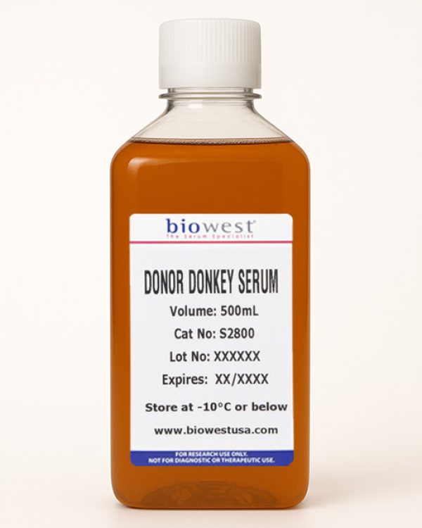Donor-Donkey-Serum_s2800_donkey_hr