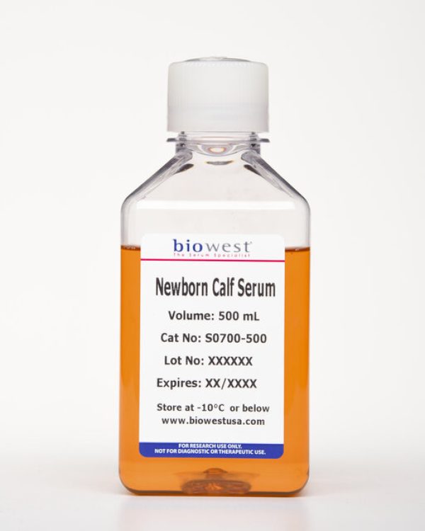 Newborn Calf Serum - 500 ml - S0700