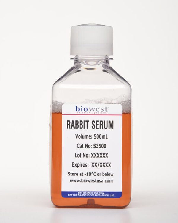 Rabbit Serum - 500 ml - s3500_rabbit_hr