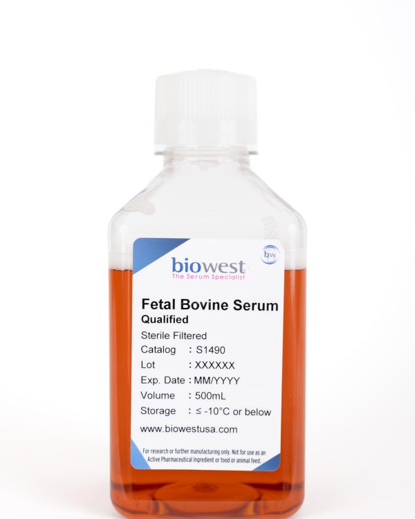 Product bottle photo of Qualified US Origin Fetal Bovine Serum 500mL