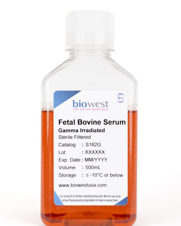 Product bottle photo of Gamma Irradiated Fetal Bovine Serum 500mL