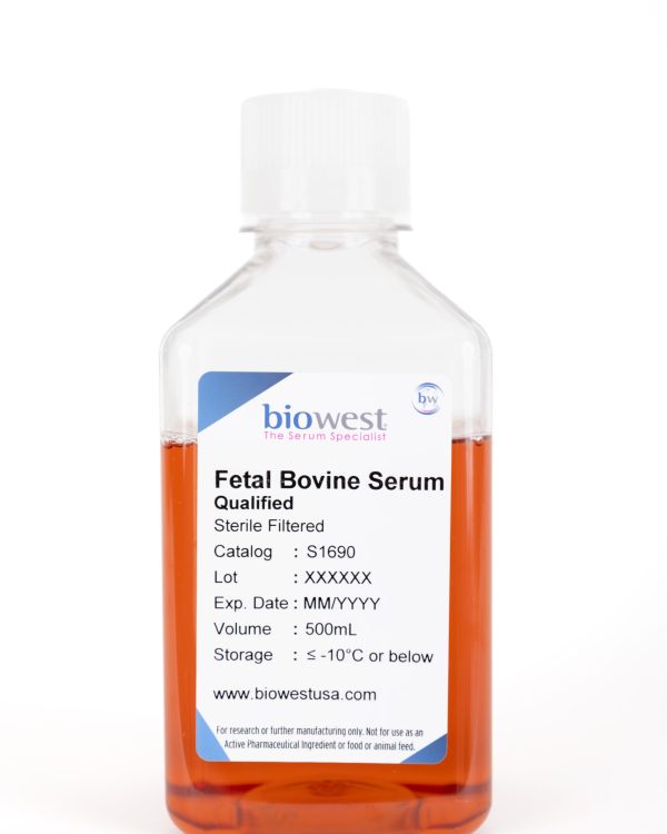 Product bottle photo of Qualified Fetal Bovine Serum 500mL