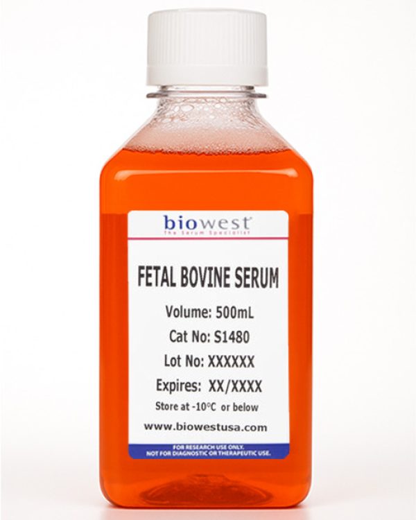 fetal-bovine-serum_s1480_500-ml