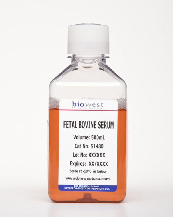 fetal bovine serum_s1480_500 ml